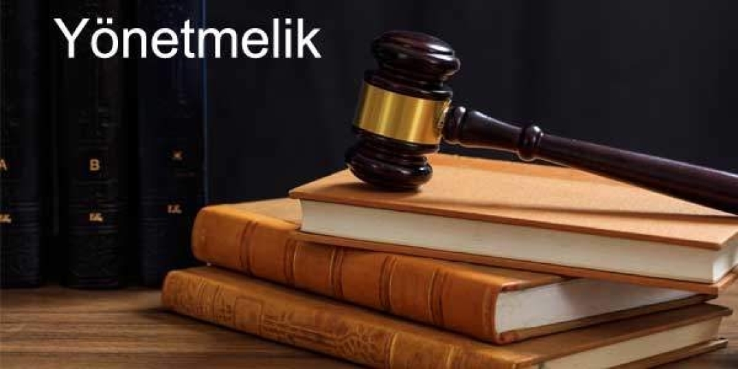 ENGELLİ BİREYLERE YÖNELİK ÖZEL BAKIM MERKEZLERİ YÖNETMELİĞİ